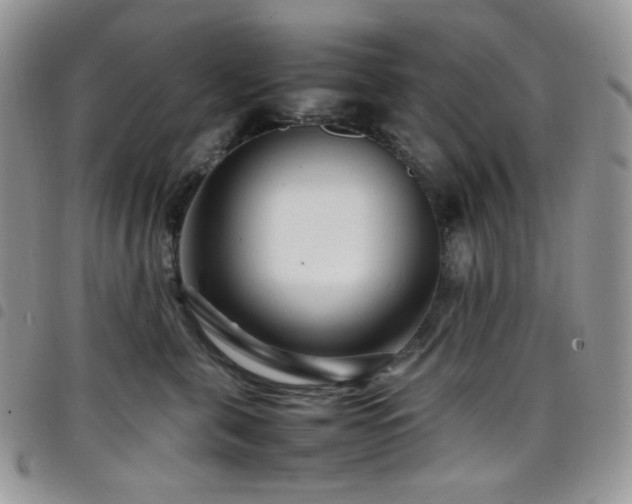 X0000098220571200804241346