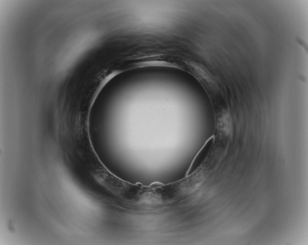 X0000098220572200804241346