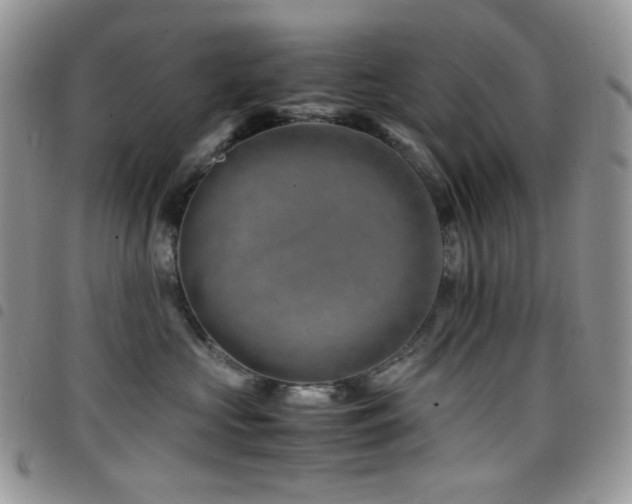 X0000098220573200804241346