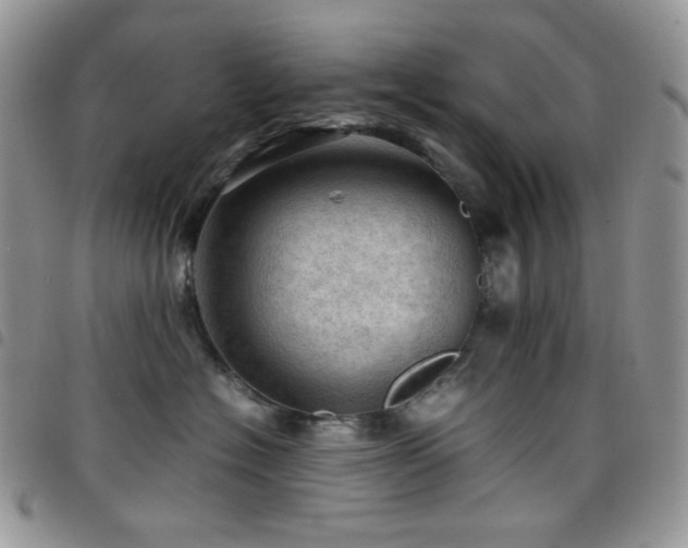 X0000098220574200804241346