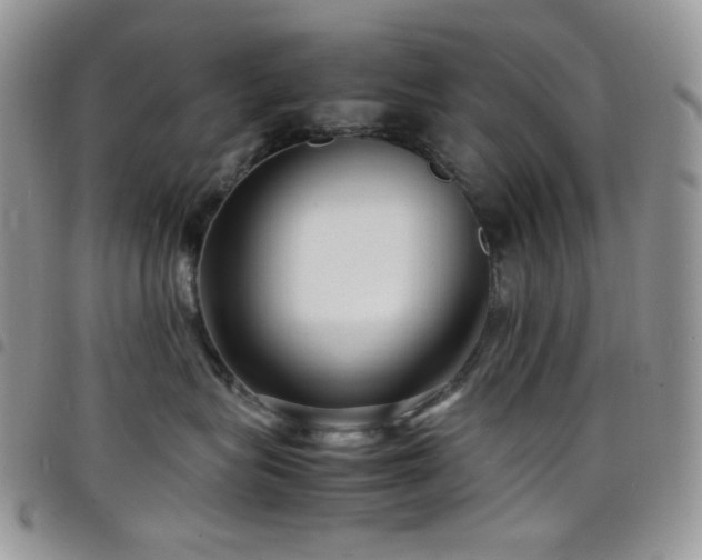 X0000098220575200804241346