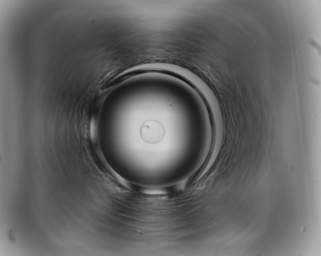 X0000098220576200804241346