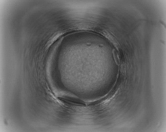 X0000098220577200804241346