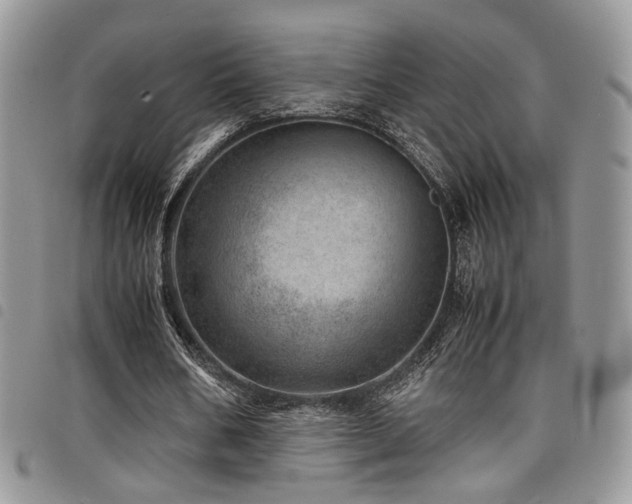 X0000098220578200804241346