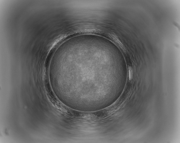 X0000098220579200804241346
