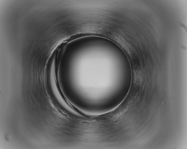 X0000098220580200804241346