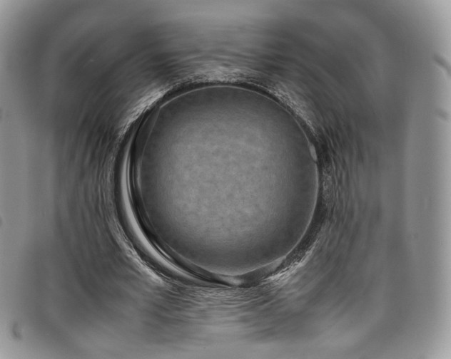 X0000098220581200804241346