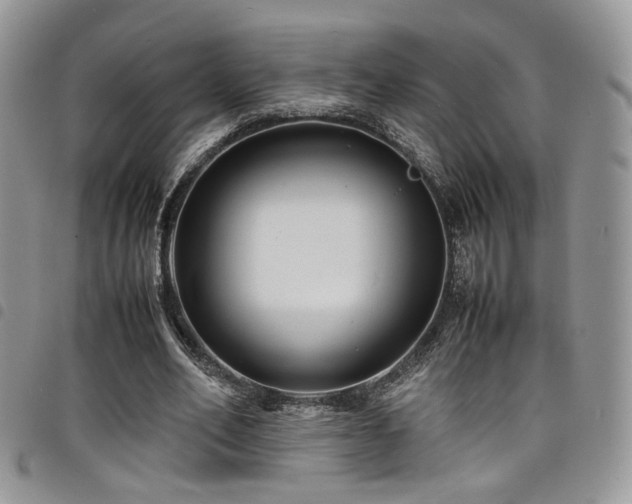 X0000098220582200804241346