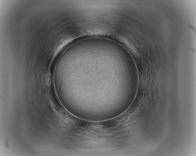 X0000098220583200804241346
