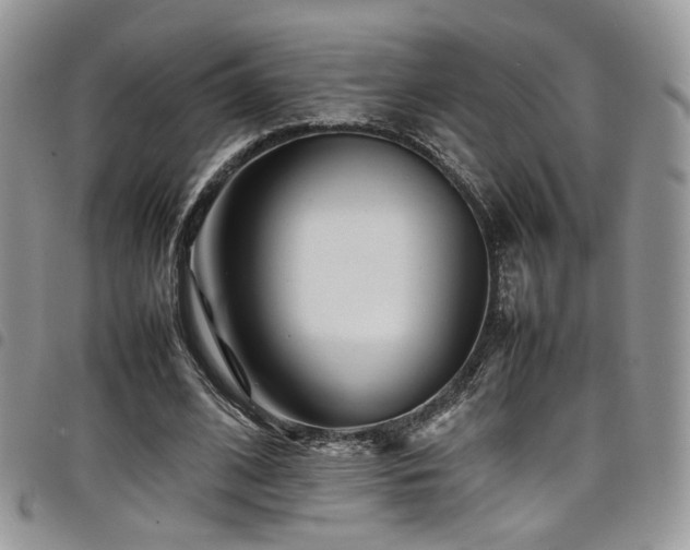 X0000098220584200804241346
