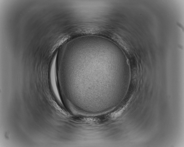 X0000098220585200804241346
