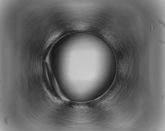 X0000098220586200804241346