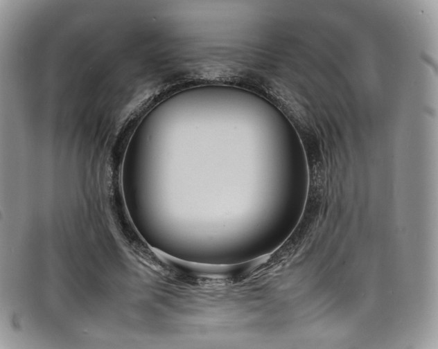 X0000098220587200804241346