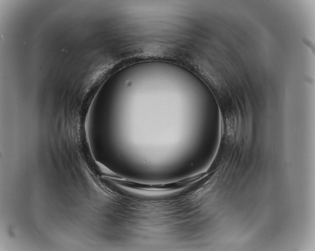 X0000098220588200804241346
