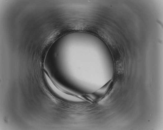 X0000098220589200804241346