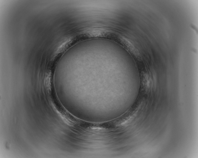 X0000098220590200804241346