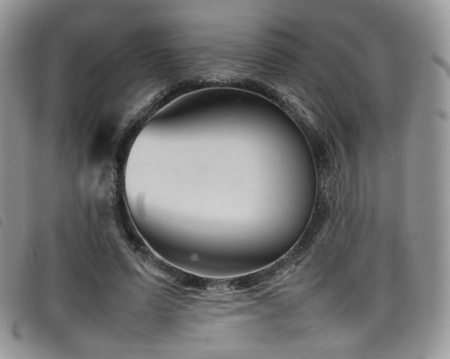 X0000098220591200804241346