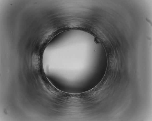 X0000098220592200804241346
