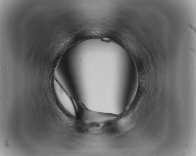 X0000098220593200804241346