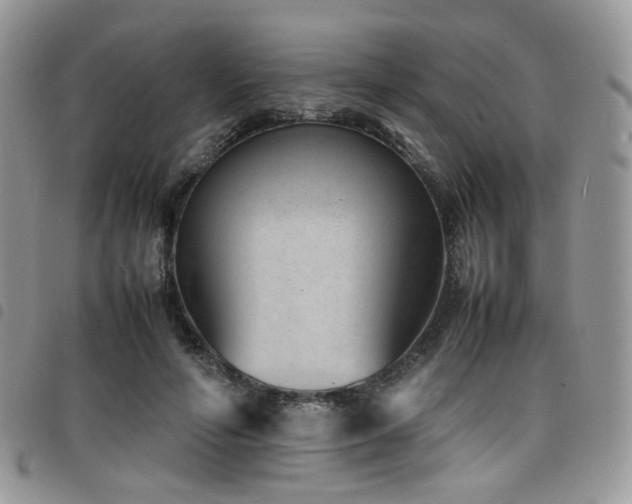 X0000098220594200804241346