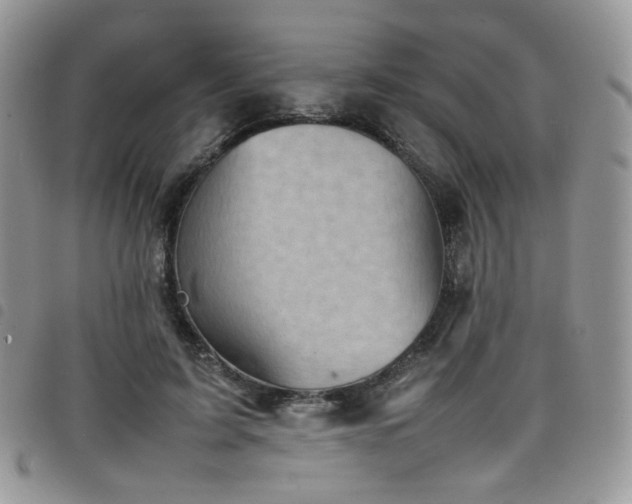X0000098220595200804241346