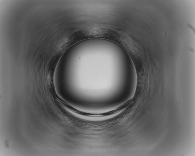 X0000098220597200804241346