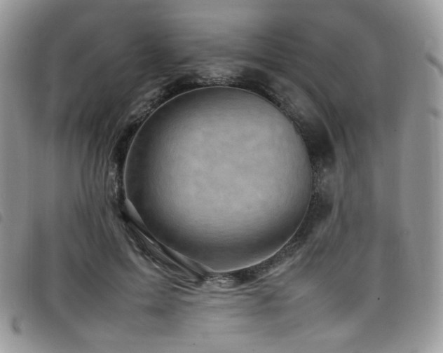 X0000098220599200804241345