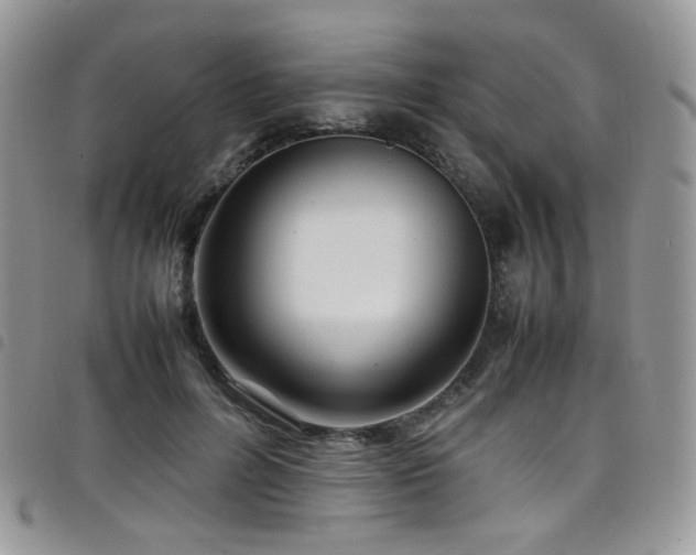 X0000098220600200804241345