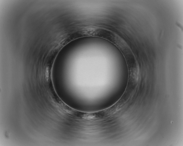 X0000098220602200804241345