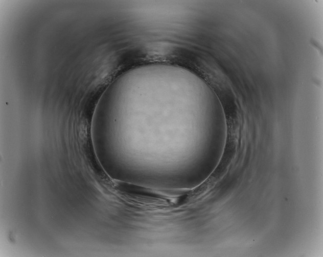 X0000098220603200804241345