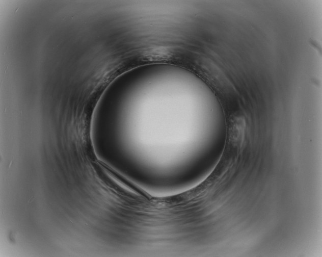 X0000098220604200804241345