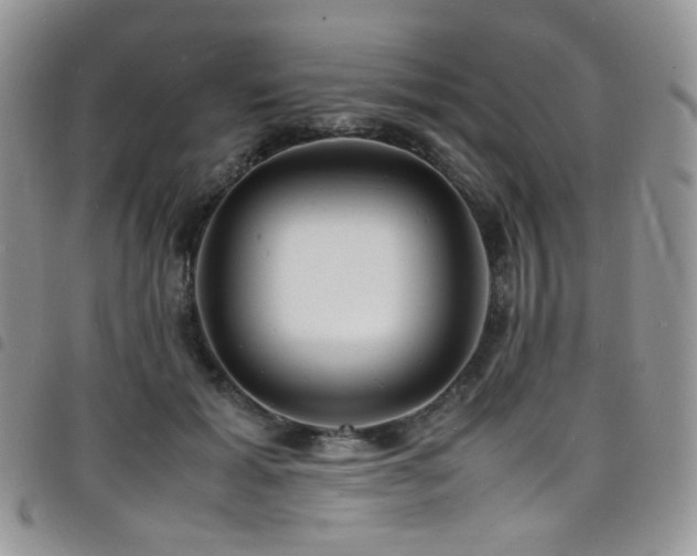 X0000098220605200804241345