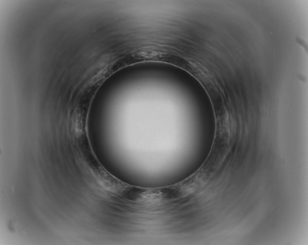 X0000098220606200804241345
