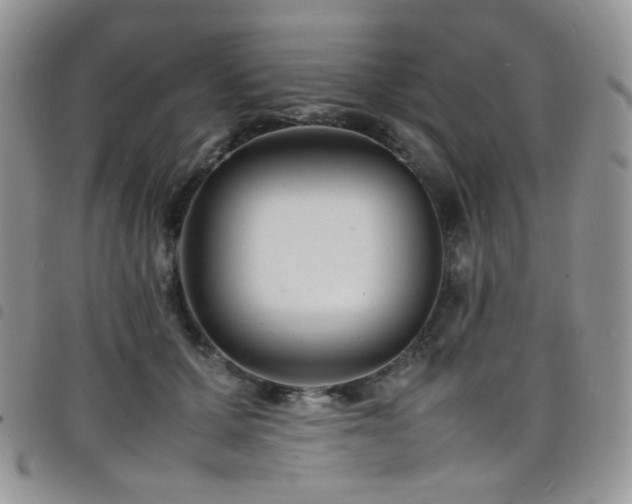 X0000098220607200804241345