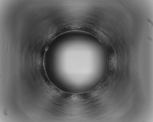 X0000098220608200804241345