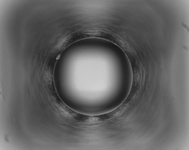 X0000098220609200804241345