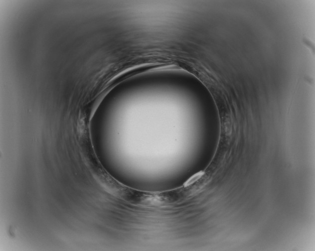 X0000098220611200804241345
