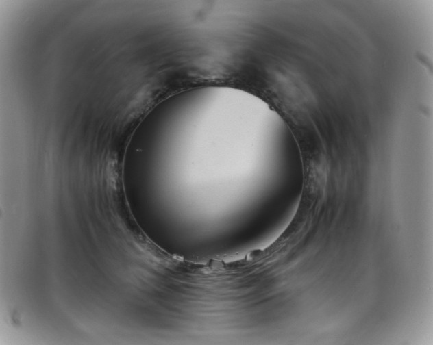 X0000098220612200804241345