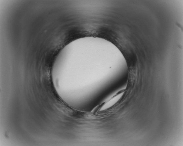 X0000098220613200804241345
