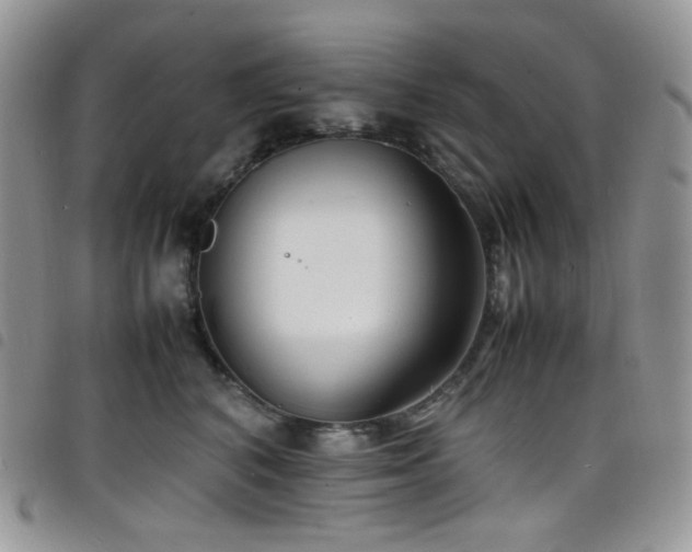 X0000098220616200804241345
