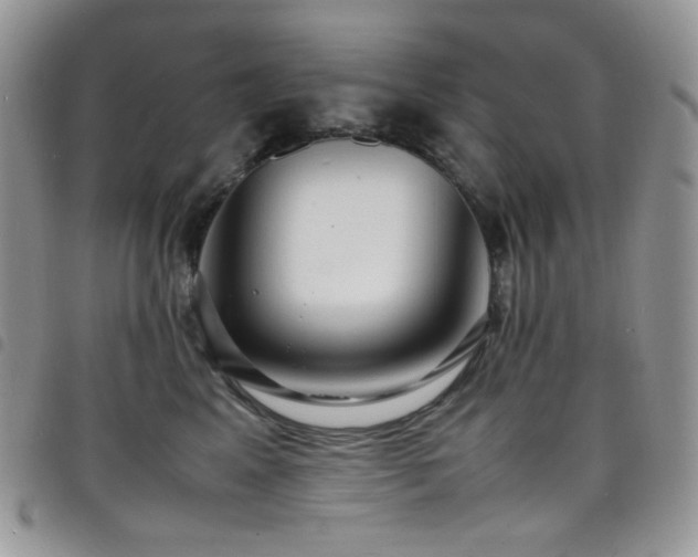 X0000098220617200804241345