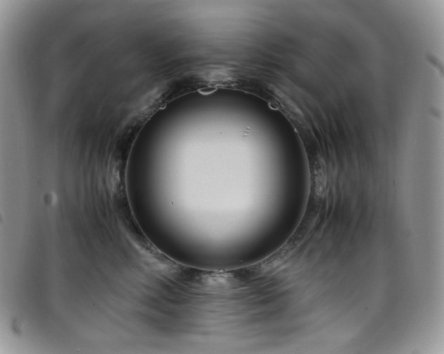 X0000098220618200804241345