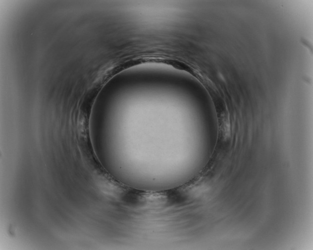 X0000098220619200804241345