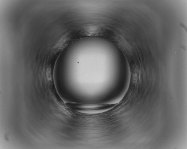 X0000098220620200804241345