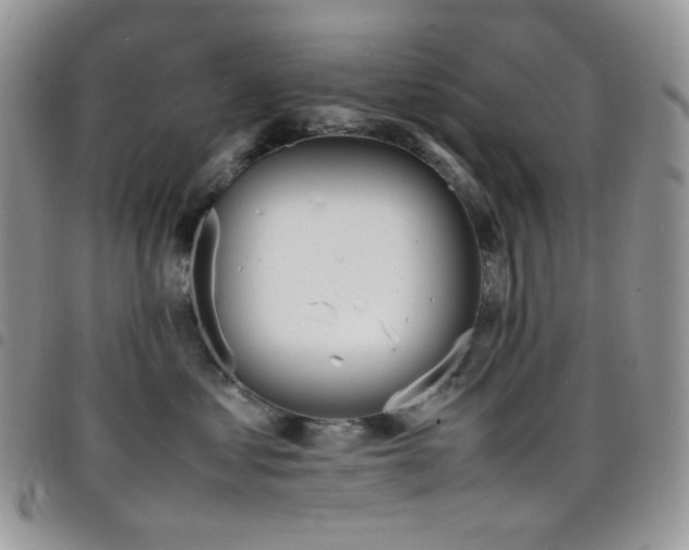 X0000098220621200804241345