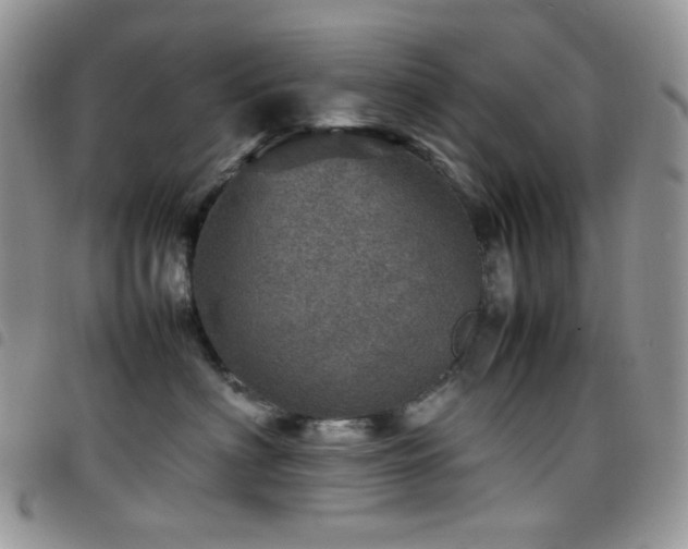 X0000098220622200804241345