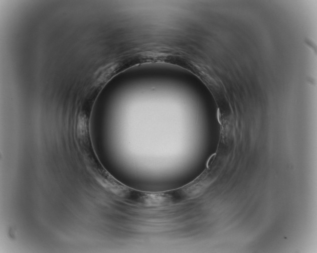 X0000098220623200804241345