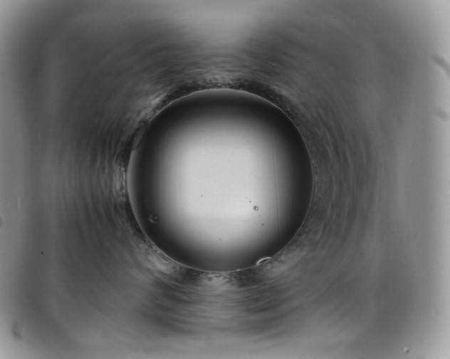 X0000098220624200804241345