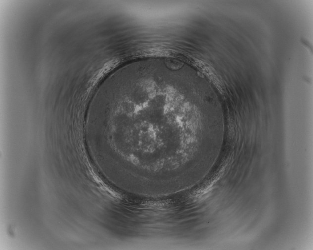 X0000098220625200804241344