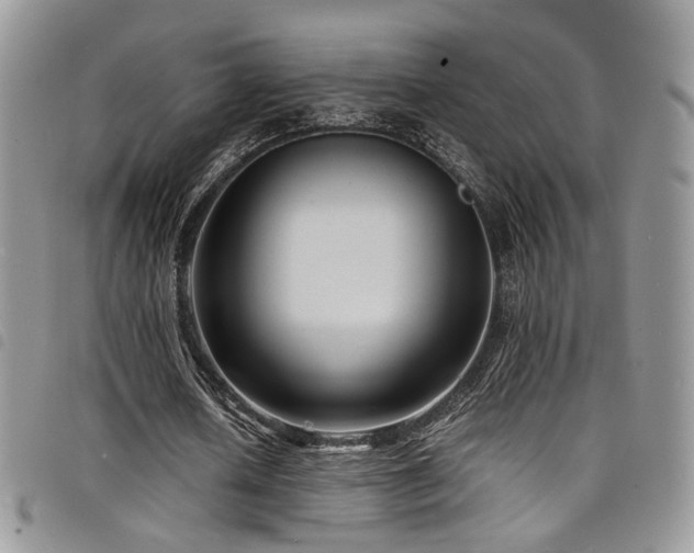X0000098220626200804241344